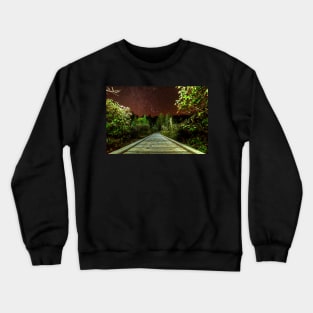 Adirondack Log Keene Valley NY New York Stars Crewneck Sweatshirt